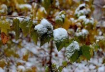 Синоптик розповіла, якою буде осінь і коли українцям чекати перший сніг з морозами
