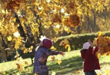 “Літнє” тепло та різкі похолодання: яким буде вересень в Україні