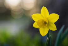 Штормовий вітер, дощі та тепло. Як зміниться погода у великодні вихідні