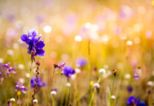 Синоптик попередила українців про температурні гойдалки