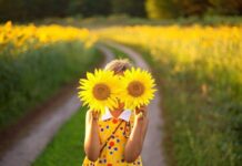 На Україну насувається антициклон: синоптик попередила про зміну погоди