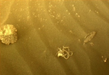 Ровер NASA виявив загадковий об’єкт на Марсі