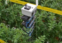 Вчені створили роботів зі штучним інтелектом для запилення рослин