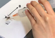 Американські вчені створили з мертвих павуків крихітних роботів (відео)