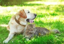 В Україну повертається спека: де стовпчики термометрів покажуть понад +30 градусів