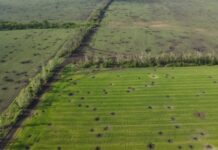 Удар по якості води та ґрунту: вчені пояснили наслідки війни