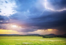 Спека, грозові дощі та шквали: синоптик дала прогноз погоди на 18 серпня