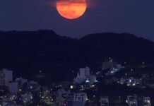 Американський астроном заявив, що Сонце почало втрачати масу – на Землі зміниться клімат