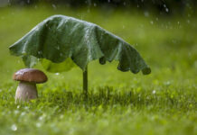 Українців попередили про погіршення погоди