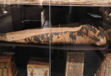 Вчені повідомили, що насправді було в животі “вагітної” мумії з Єгипту