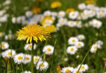 Прикмети на 10 серпня: народне свято сьогодні, звичаї і заборони