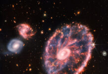 Космічний телескоп «Джеймс Вебб» показав галактику «Колесо воза» у сузір’ї Скульптора