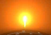 SpaceX успішно вивела на орбіту ще 52 супутники Starlink