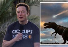 Ілон Маск попередив про наближення катастрофи, яка колись спричинила масове вимирання