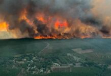 Зміна клімату торкнеться всіх: названо найкращі місця для переселення протягом 50 років, — Time