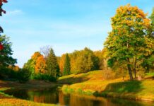 В Україну повертається літо: у середу стовпчик термометра підніметься до +24 градусів