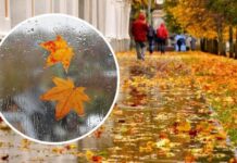 Заморозки та температурні гойдалки: які погодні сюрпризи приготувала осінь українцям