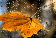 Синоптик попередила про різке погіршення погоди