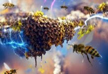 Зграї комах можуть накопичувати електрику як грозові хмари