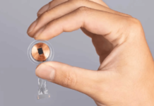 Ілон Маск відклав презентацію «чипа для мозку» Neuralink