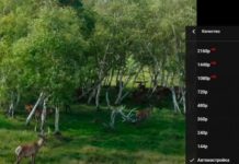 YouTube вводить плату за перегляд відео з високою якістю