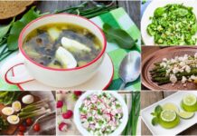 5 страв травня: що приготувати зі свіжих сезонних овочів