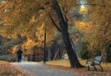 Погода на неділю: детальний прогноз на 2 листопада та найвищі температурні показники