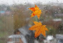 Прогноз погоди на 31 жовтня: де пройдуть дощі, а де – мокрий сніг