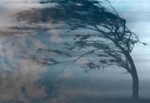 Погода 19 жовтня: морози та штормові пориви вітру