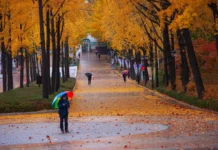Погода 25 жовтня: в Україну йдуть дощі, сильний вітер та грози