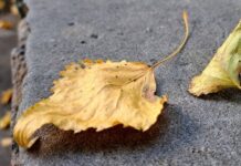 Дощі та пориви вітру: прогноз погоди в Україні на 28 жовтня