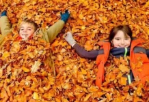 Осінні канікули 2025: коли починаються та скільки триватимуть