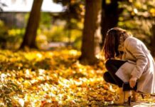 Прогноз погоди на 21 листопада: аномальне потепління до +20°С на півдні, мокрий сніг на заході