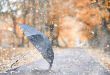 Погода в Україні 15 листопада: тепло, дощі та сильний вітер