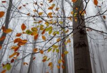 До України іде серйозне похолодання: синоптики назвали дати