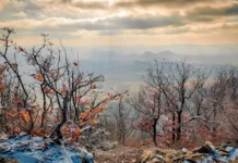 Від +17 до мокрого снігу: Україну накриє контрастна зміна погоди у найближчі дні