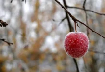 Після короткого потепління Україну накриє значне похолодання: синоптики попередили про різку зміну погоди