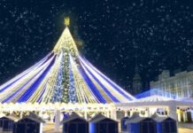 Головна ялинка України на Софійській площі: деталі прикрас та сценарій відкриття