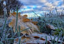 Погода в Україні 16 листопада: нічні морози та зниження температури