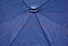 До кінця століття літо в Європі може стати довшим на 42 дні