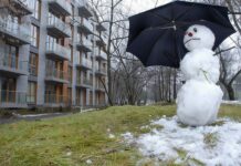 Сезон кліматичних аномалій: синоптики розповіли про погодні сюрпризи цієї зими в Україні