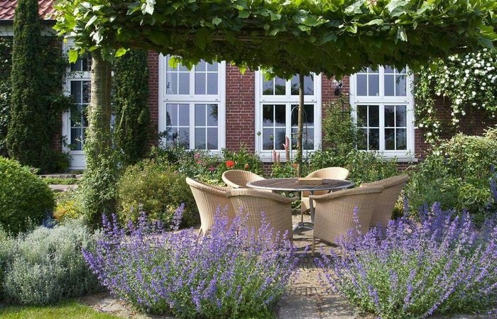 Дачні лайфхаки: шість ідей для саду, що не вдарять по кишені 11